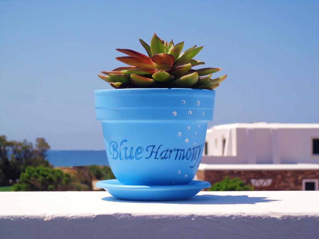 Blue Harmony Apartments Πλάκα Εξωτερικό φωτογραφία